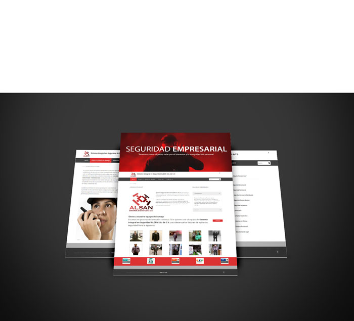 alsan-cuadro sitio web empresa