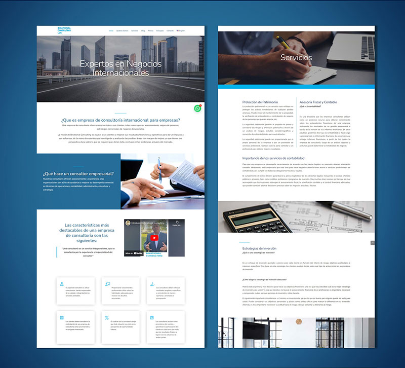BINATIONAL CONSULTING