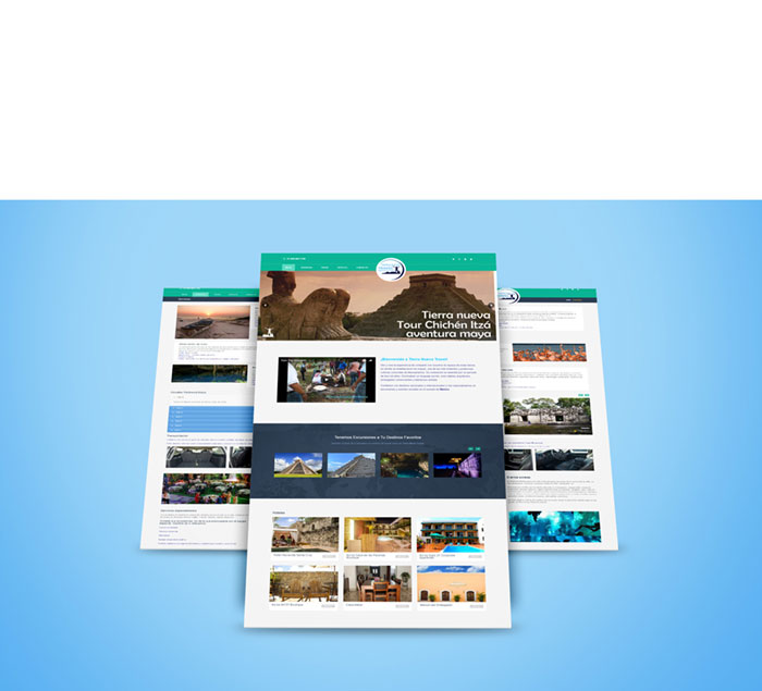 tierra-nueva-cuadro diseño web mexico df